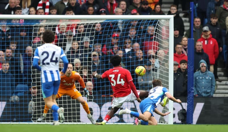 Football. Premier League. Brighton & Hove Albion - Nottingham Forest. 01.03.2026