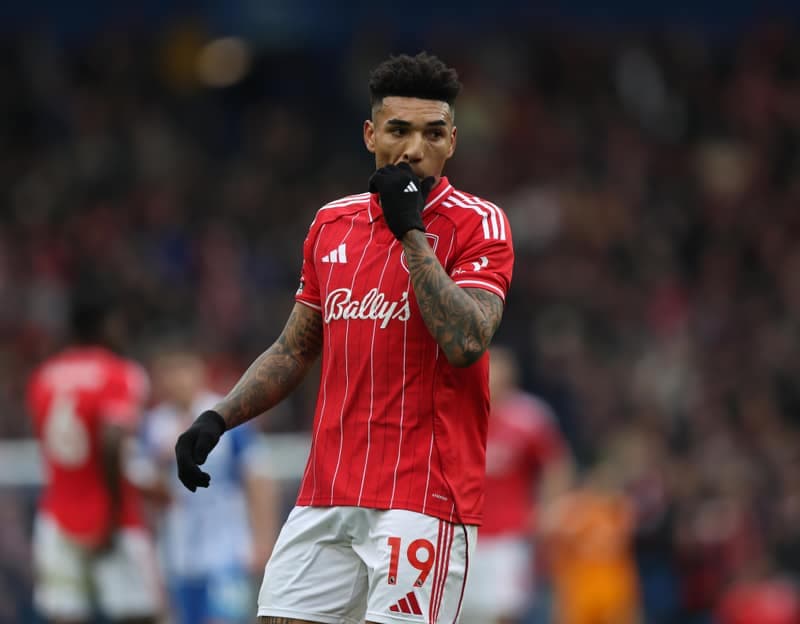 Football. Premier League. Brighton & Hove Albion - Nottingham Forest. 01.03.2026
