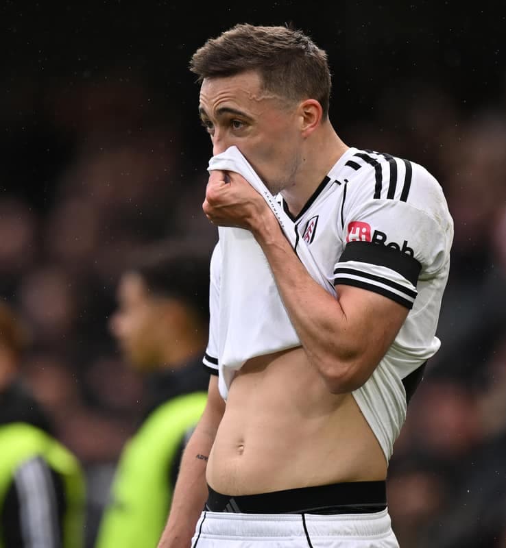 Football. Premier League. Fulham - Everton. 07.02.2026