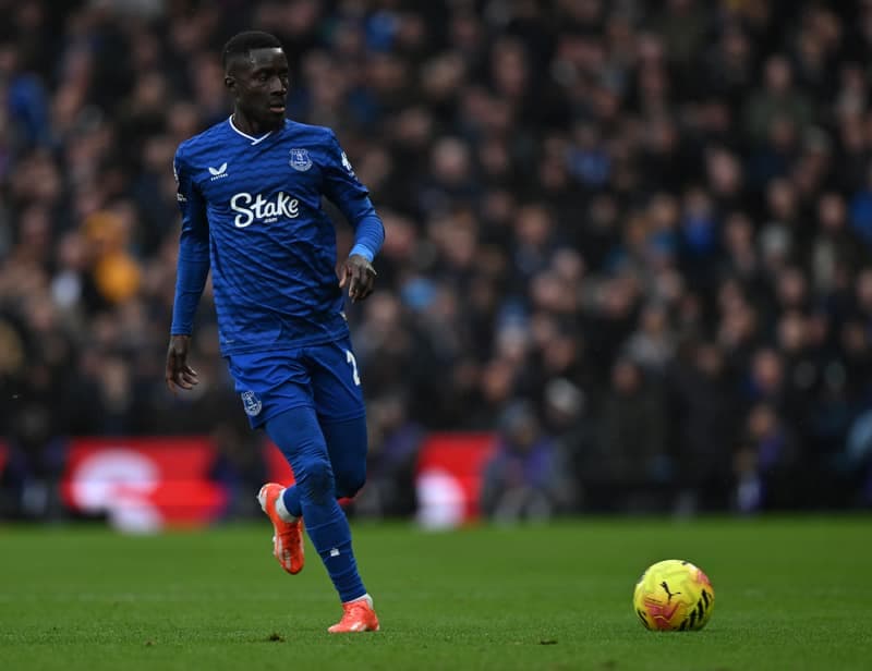 Football. Premier League. Fulham - Everton. 07.02.2026