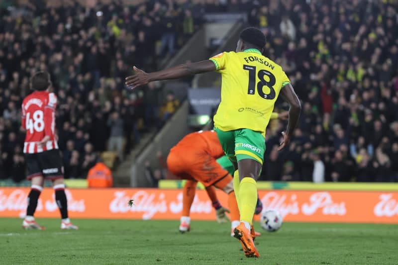 Football. Sky Bet Championship. Norwich City - Sheffield United. 11.03.2026