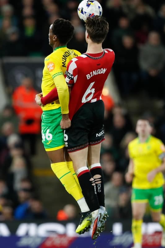Football. Sky Bet Championship. Norwich City - Sheffield United. 11.03.2026