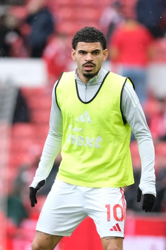 Football. Premier League. Nottingham Forest - Fulham. 00.00.0000