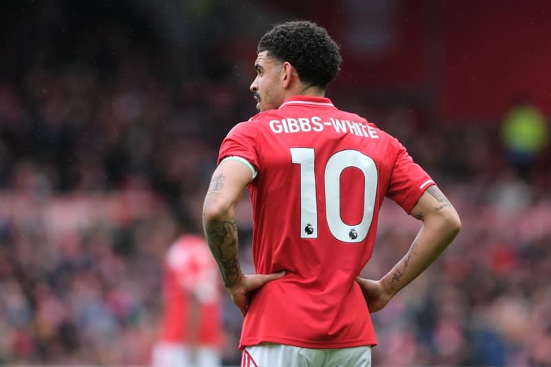 Football. Premier League. Nottingham Forest - Fulham. 00.00.0000