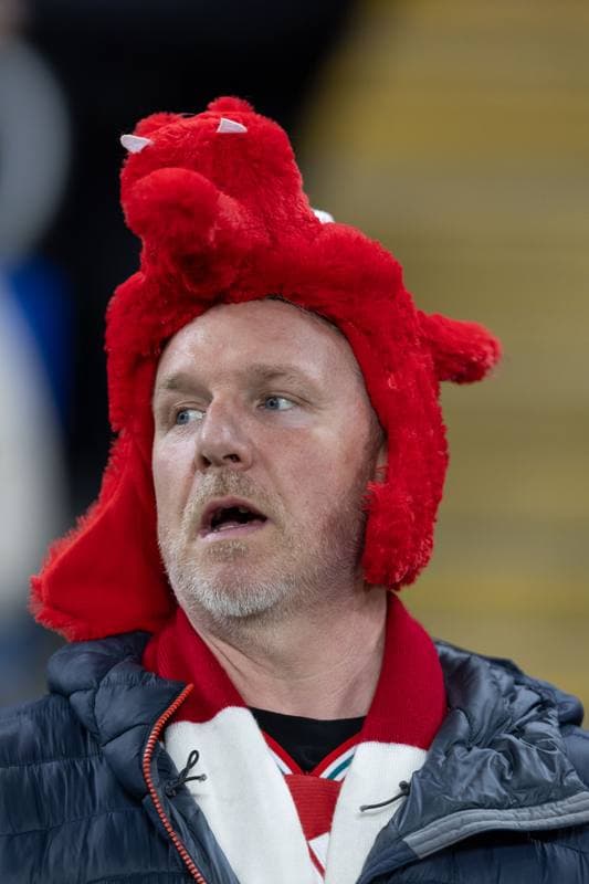 Football. 2026 FIFA World Cup Qualifiers. Wales - Bosnia and Herzegovina. 26.03.2026