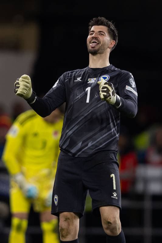 Football. 2026 FIFA World Cup Qualifiers. Wales - Bosnia and Herzegovina. 26.03.2026