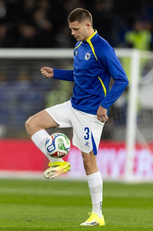 Football. 2026 FIFA World Cup Qualifiers. Wales - Bosnia and Herzegovina. 26.03.2026