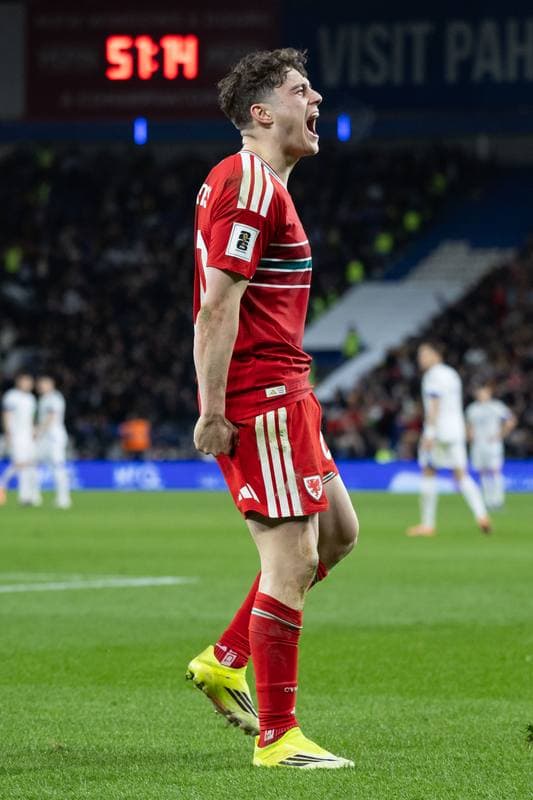 Football. 2026 FIFA World Cup Qualifiers. Wales - Bosnia and Herzegovina. 26.03.2026