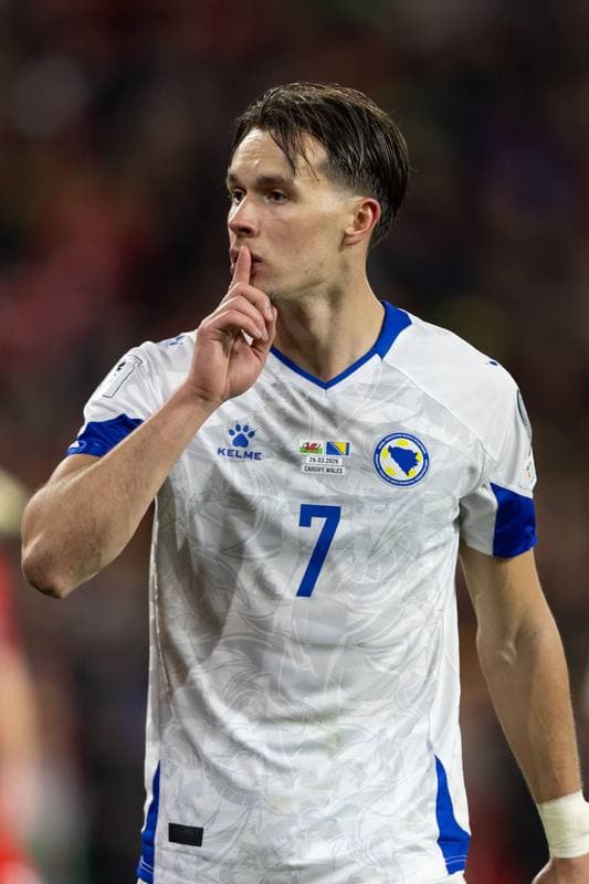 Football. 2026 FIFA World Cup Qualifiers. Wales - Bosnia and Herzegovina. 26.03.2026