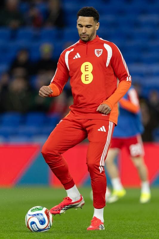 Football. 2026 FIFA World Cup Qualifiers. Wales - Bosnia and Herzegovina. 26.03.2026