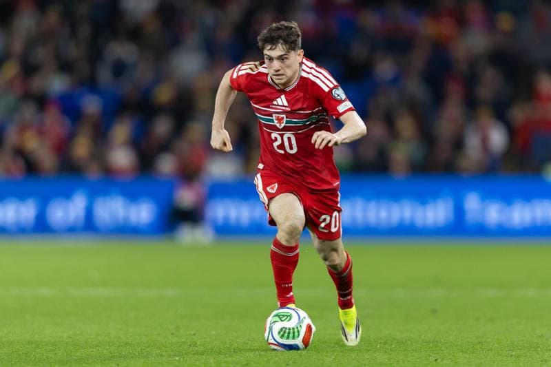 Football. 2026 FIFA World Cup Qualifiers. Wales - Bosnia and Herzegovina. 26.03.2026