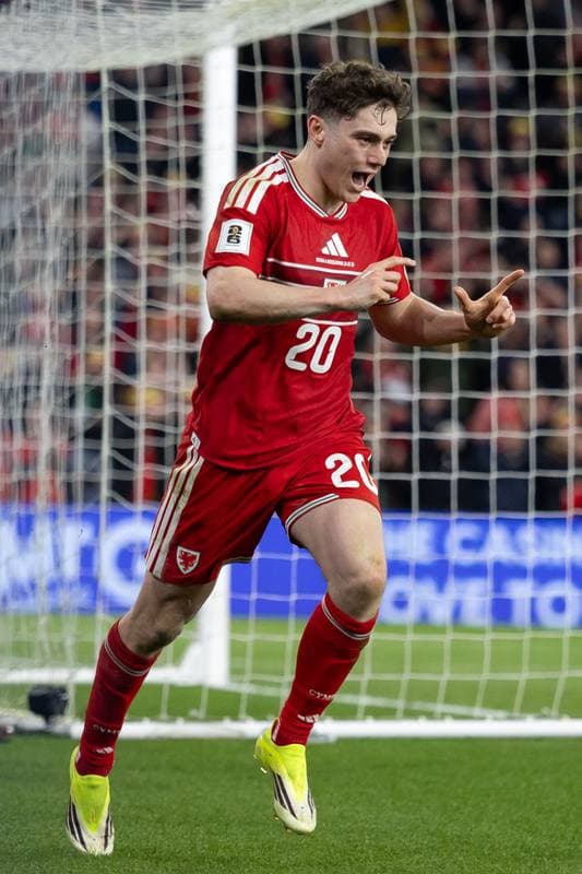 Football. 2026 FIFA World Cup Qualifiers. Wales - Bosnia and Herzegovina. 26.03.2026