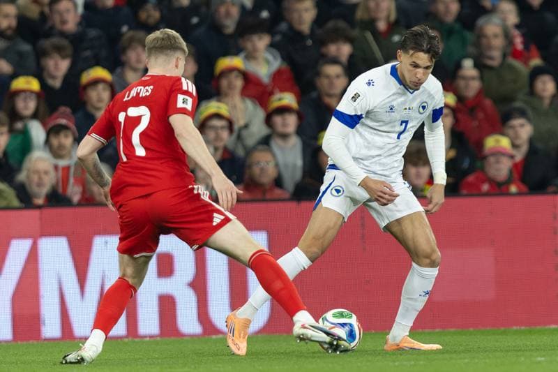 Football. 2026 FIFA World Cup Qualifiers. Wales - Bosnia and Herzegovina. 26.03.2026