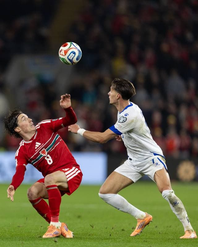 Football. 2026 FIFA World Cup Qualifiers. Wales - Bosnia and Herzegovina. 26.03.2026