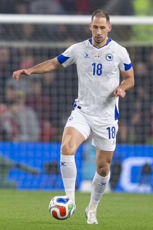 Football. 2026 FIFA World Cup Qualifiers. Wales - Bosnia and Herzegovina. 26.03.2026