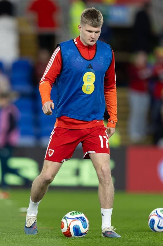 Football. 2026 FIFA World Cup Qualifiers. Wales - Bosnia and Herzegovina. 26.03.2026