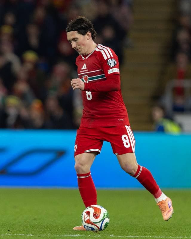 Football. 2026 FIFA World Cup Qualifiers. Wales - Bosnia and Herzegovina. 26.03.2026