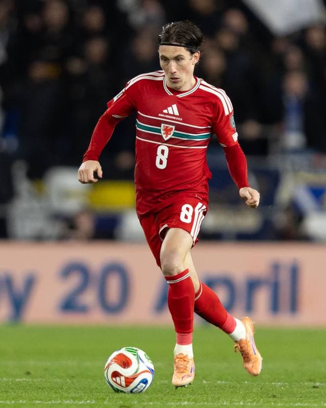 Football. 2026 FIFA World Cup Qualifiers. Wales - Bosnia and Herzegovina. 26.03.2026