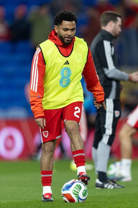 Football. 2026 FIFA World Cup Qualifiers. Wales - Bosnia and Herzegovina. 26.03.2026