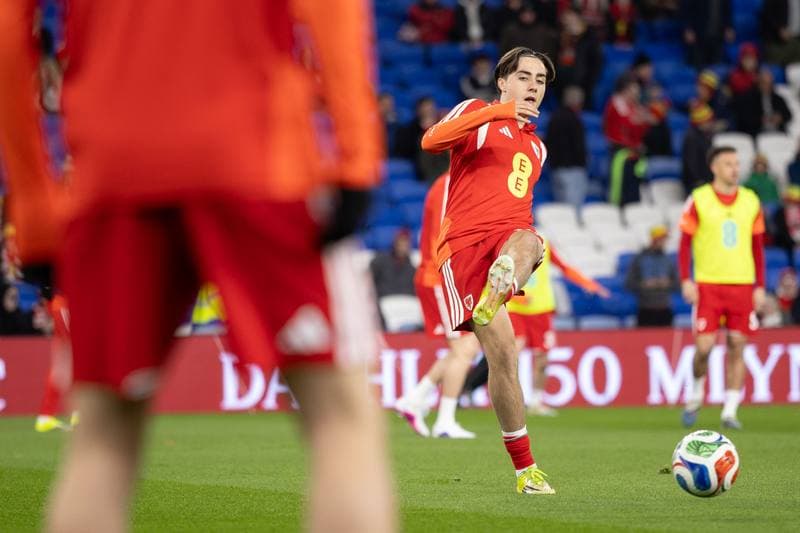 Football. 2026 FIFA World Cup Qualifiers. Wales - Bosnia and Herzegovina. 26.03.2026