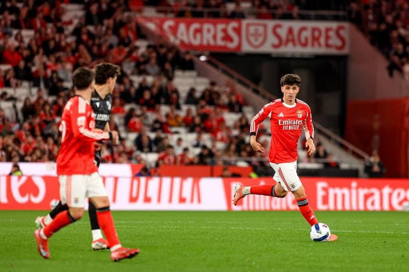Football. Liga Portugal Betclic. SL Benfica - Vitoria SC. 21.03.2026
