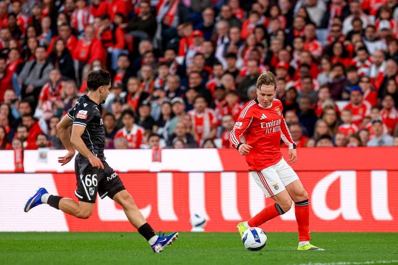 Football. Liga Portugal Betclic. SL Benfica - Vitoria SC. 21.03.2026