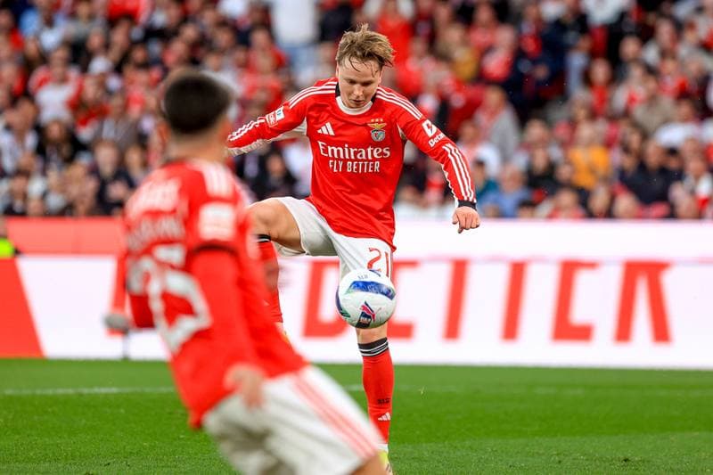 Football. Liga Portugal Betclic. SL Benfica - Vitoria SC. 21.03.2026