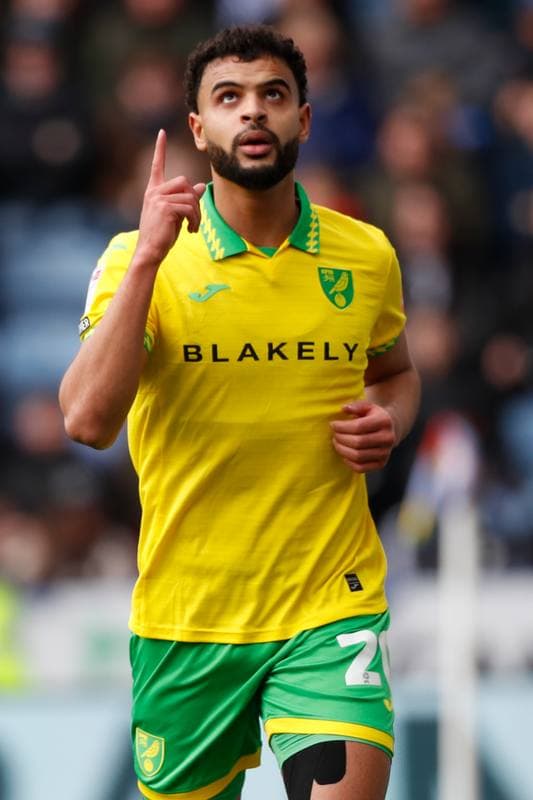 Football. Sky Bet Championship. Leicester City - Norwich City. 28.02.2026