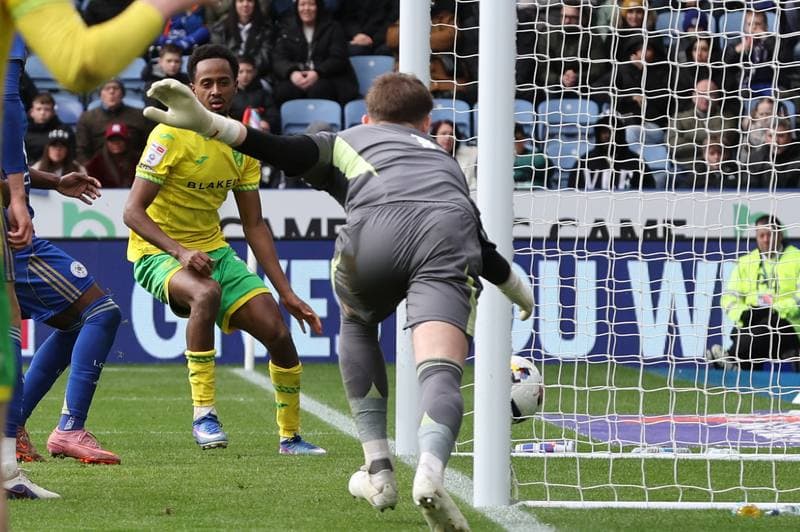 Football. Sky Bet Championship. Leicester City - Norwich City. 28.02.2026