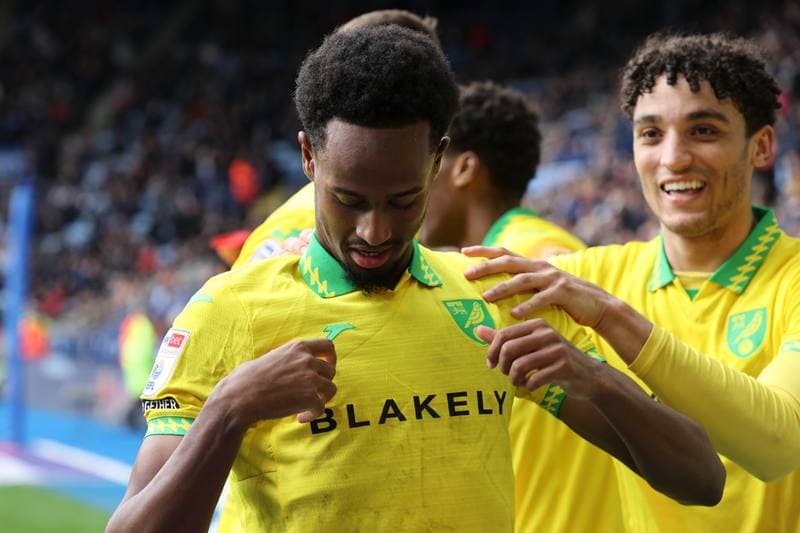 Football. Sky Bet Championship. Leicester City - Norwich City. 28.02.2026
