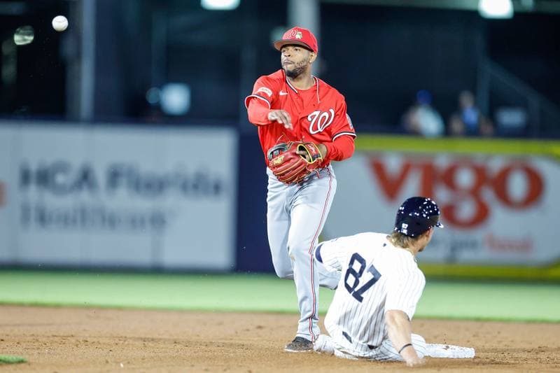 Baseball. MLB Spring Training. Washington Nationals - New York Yankees. 25.02.2025
