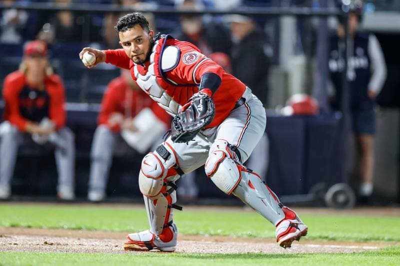 Baseball. MLB Spring Training. Washington Nationals - New York Yankees. 25.02.2025