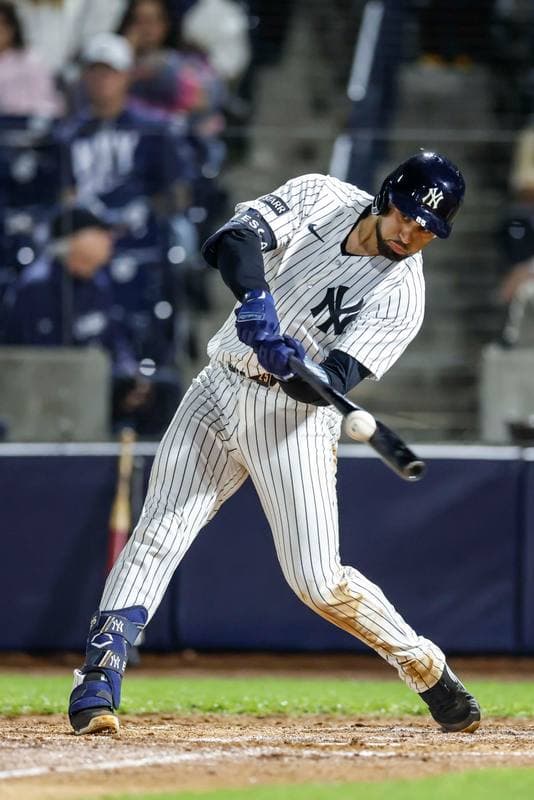 Baseball. MLB Spring Training. Washington Nationals - New York Yankees. 25.02.2025