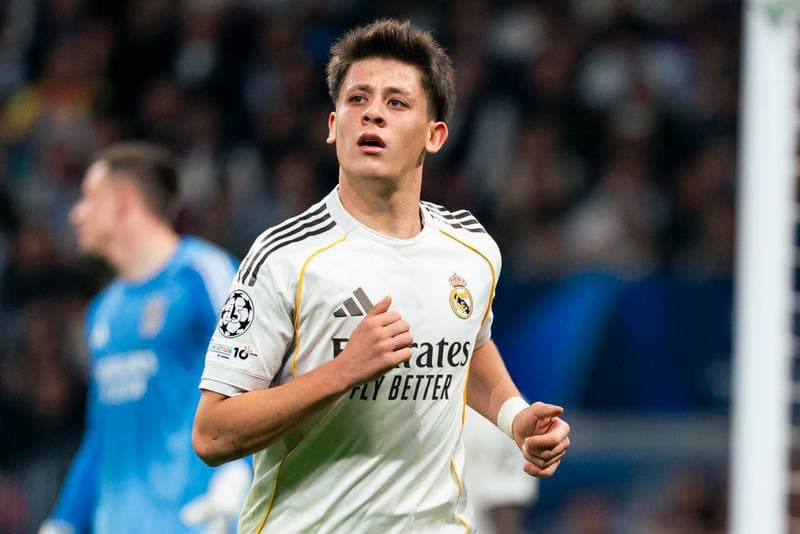 Football. Champions League. Real Madrid - SL Benfica. 25.02.2026