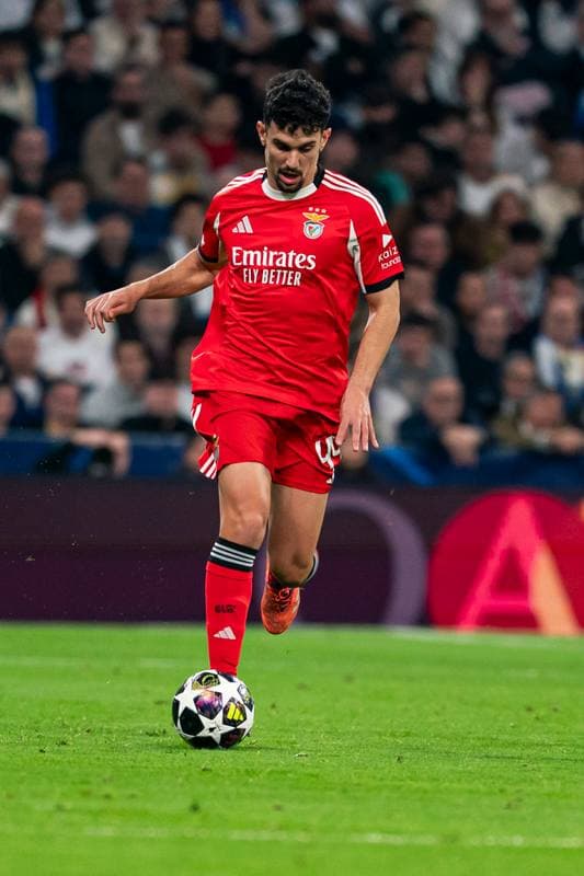 Football. Champions League. Real Madrid - SL Benfica. 25.02.2026