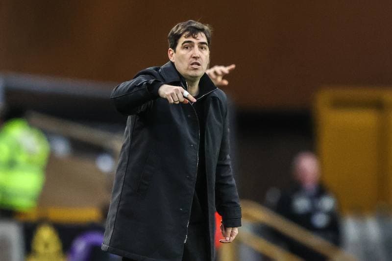 Football. Premier League. Wolverhampton Wanderers - Bournemouth. 31.01.2026