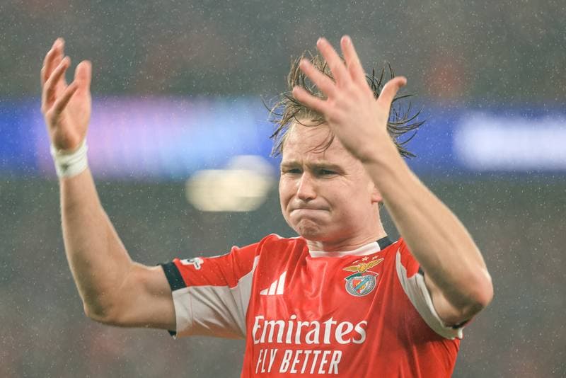 Football. UEFA Champions League. SL Benfica - Real Madrid. 28.01.2026