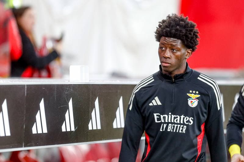 Football. Liga Portugal Betclic. SL Benfica - Estrela Amadora. 25.01.2026