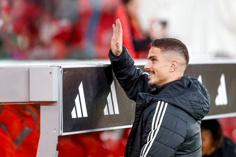 Football. Liga Portugal Betclic. SL Benfica - Estrela Amadora. 25.01.2026