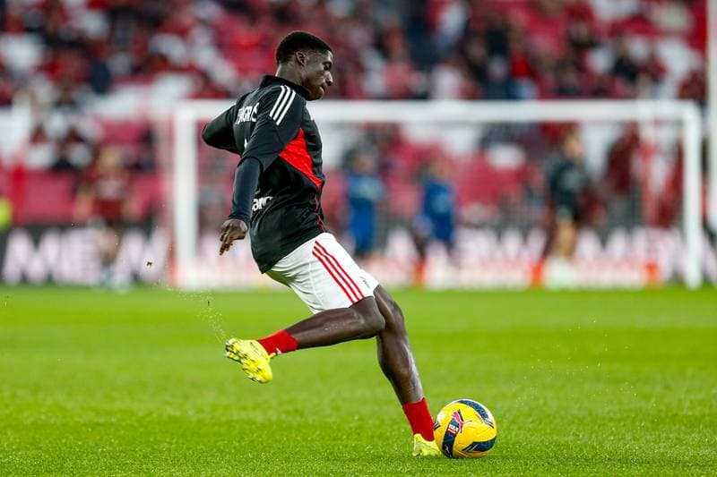 Football. Liga Portugal Betclic. SL Benfica - Estrela Amadora. 25.01.2026