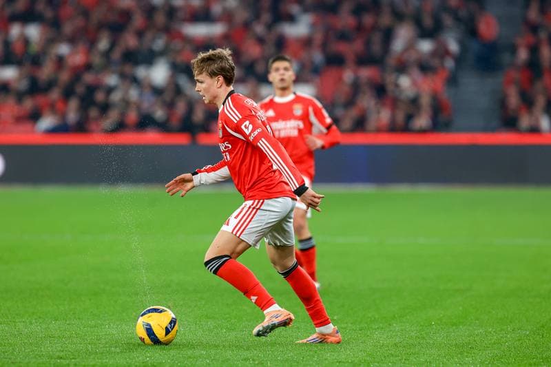 Football. Liga Portugal Betclic. SL Benfica - Estrela Amadora. 25.01.2026