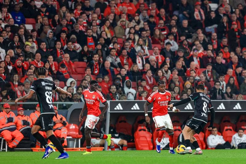 Football. Liga Portugal Betclic. SL Benfica - Estrela Amadora. 25.01.2026