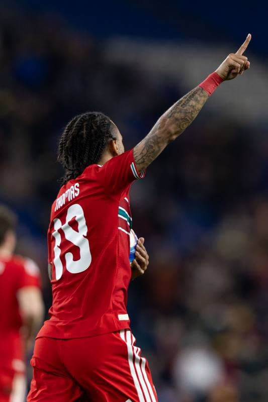 Football. International Friendly. Wales - Northern Ireland. 31.03.2026