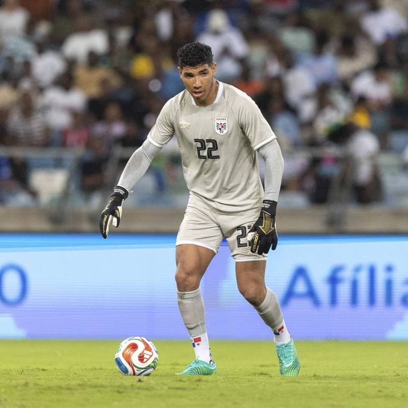 Football. International Friendly. South Africa - Panama. 27.03.2026