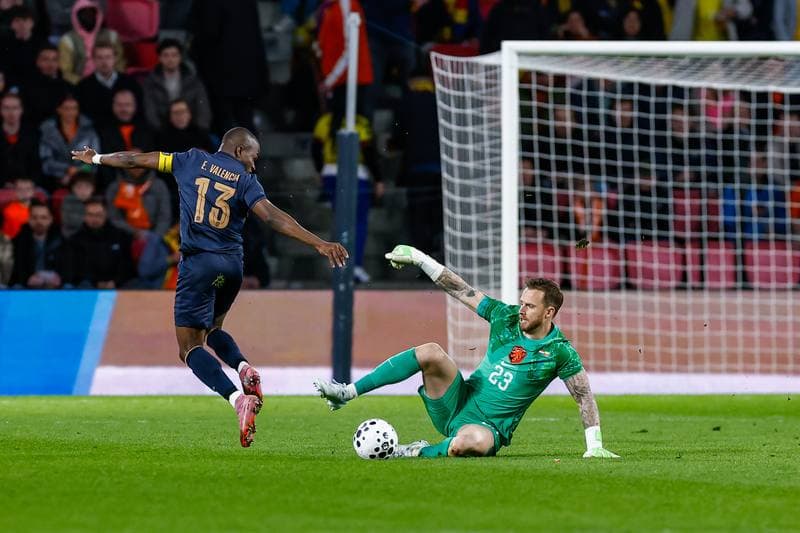 Football. Friendly Match. Netherlands - Ecuador. 31.03.2026