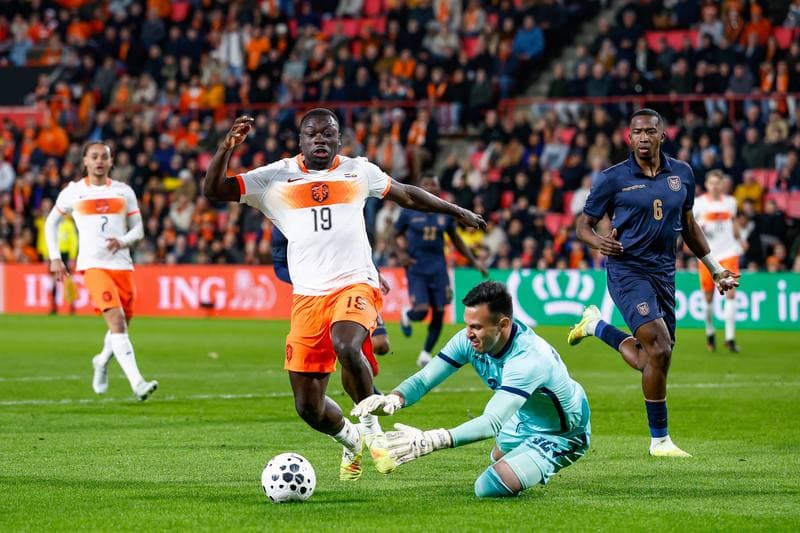 Football. Friendly Match. Netherlands - Ecuador. 31.03.2026