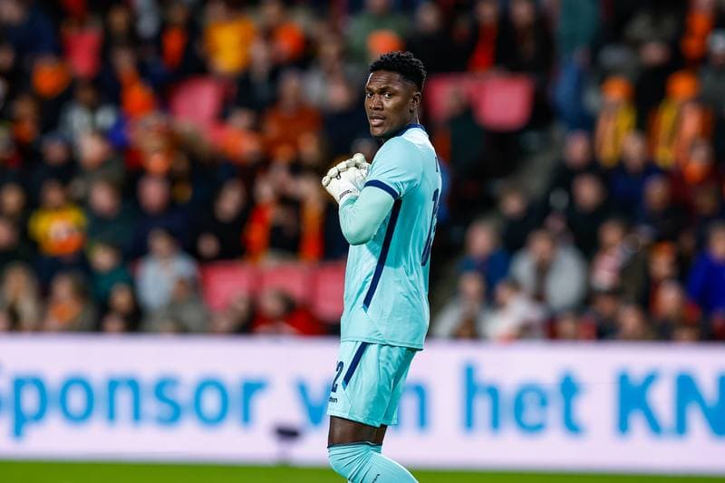 Football. Friendly Match. Netherlands - Ecuador. 31.03.2026