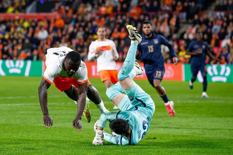 Football. Friendly Match. Netherlands - Ecuador. 31.03.2026