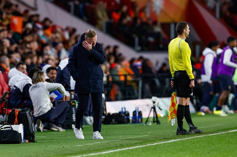 Football. Friendly Match. Netherlands - Ecuador. 31.03.2026