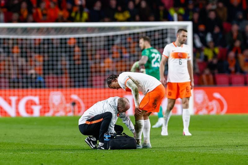 Football. Friendly Match. Netherlands - Ecuador. 31.03.2026